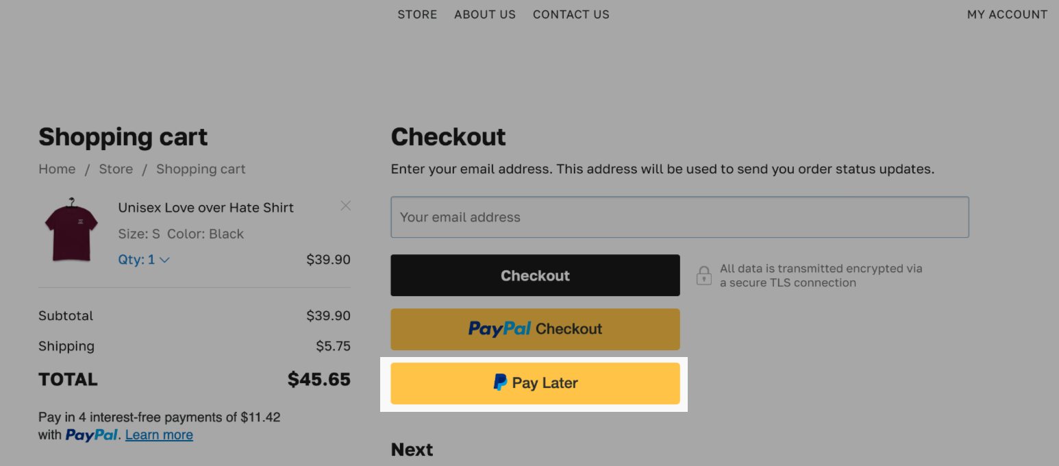 PayPal Сheckout2.png